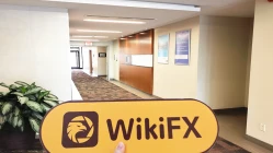 Ein Besuch bei TWFX in Kanada - kein Büro finden