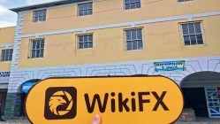  A Visit to TD365 in Bahamas -- Finding No Office