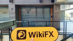 A Visit to Tickmill in Seychelles -- Office Found