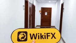 une visite à SOHO MARKETS à maurice -- aucun bureau trouvé