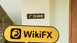 kunjungan ke ZFX di seychelles -- kantor dikonfirmasi ada