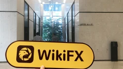 посещение Galaxy Global Group в австралии - не найти офиса