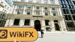 une visite à Roicat au Royaume-Uni - ne trouvant pas de bureau