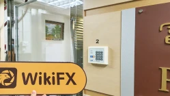 زيارة ل Million Tinkle في هونغ كونغ - عدم العثور على مكتب