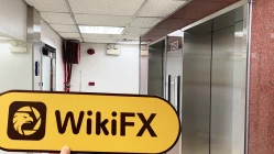 ein Besuch in qihuo852 (Wanchai-Büro) in Hongkong – kein Büro gefunden