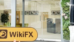 bir ziyaret FVP Trade İngiltere'de -- ofis bulunamadı