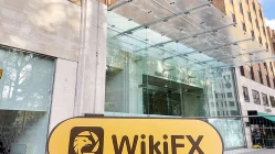 เยี่ยมชม House Of Borse Limited ในสหราชอาณาจักร -- ไม่พบสำนักงาน