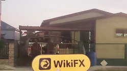 isang pagbisita sa Roboforex sa belize -- walang nahanap na opisina