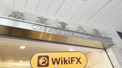 中国香港实地探访外汇交易商XIN YONGAN存在真实展业场所