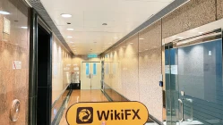 Hong Kong'daki Ping Pong İstihbaratına Bir Ziyaret - Bulunan Ofis