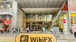 một chuyến viếng thăm DFZQ ở hồng kông – tìm thấy văn phòng