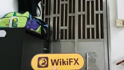 การเยี่ยมชม TRULY ในฮ่องกง – ไม่พบสำนักงาน