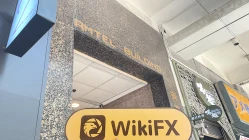 中国香港实地探访交易商Zhicheng  存在真实展业场所