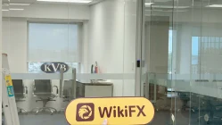 Une visite chez KVB Global en Nouvelle-Zélande - Bureau Found