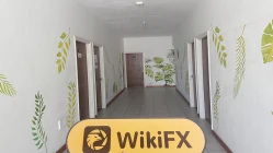 Une visite à BlackBull aux Seychelles - Bureau Found