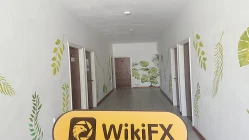 Ein Besuch bei M4Markets auf den Seychellen - Büro gefunden