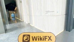 Một chuyến thăm đến MATG tại New Zealand - Không tìm thấy văn phòng