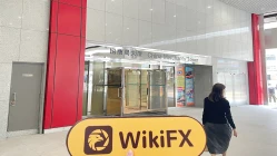  A Visit to HLJY in Hong Kong - No Office Found