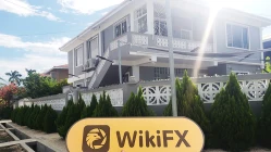 Une visite chez SMFX au Belize - Aucun bureau trouvé