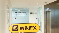 A Visit to JDFX in New Zealand - No Office Found