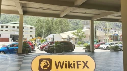 A Visit to Tradershub in Seychelles - No Office Found