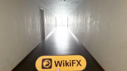 塞舌尔实地探访外汇交易商JustMarkets  存在真实展业场所