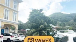 Une visite à Trade Vision aux Seychelles - Aucun bureau trouvé