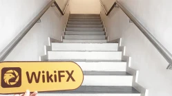 Một chuyến thăm Dbinvesting tại Seychelles - Văn phòng Tìm thấy