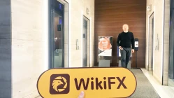 Посещение CANDEAL в Канаде - найден офис