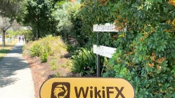 Uma visita ao Bedbrook na Austrália - Escritório Encontrado