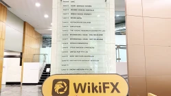 زيارة إلى MITRADE في أستراليا - تم العثور على المكتب