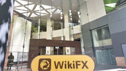 訪問澳洲的FBFX - 沒有找到辦公室