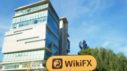 사이프러스의 OEXN 방문 - 사무실 발견