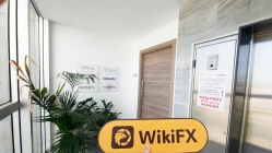 사이프러스의 OEXN 방문 - 사무실 발견