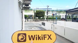 Una visita a STAK FX en Chipre - Oficina Encontrada