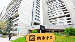  A Visit to STUNWILL in Canada – No Office Found