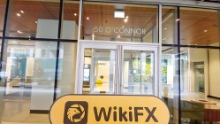 Une visite chez ASJ Forex au Canada - Aucun bureau trouvé