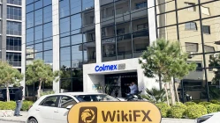 Une visite à COLMEX PRO à Chypre - Bureau trouvé