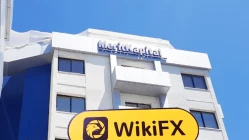 Một chuyến thăm đến NBI tại Cyprus - Tìm thấy Văn phòng