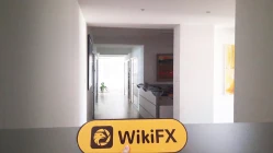 काइप्रस में COLMEX PRO की यात्रा - कोई कार्यालय नहीं मिला