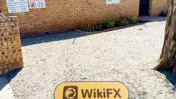 A Visit to Accumarkets in South Africa – No Office Found