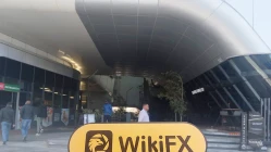  Посещение GT247.com в Южной Африке - Офис не найден