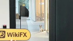 Uma visita a Lightyear na Estônia - Escritório Encontrado