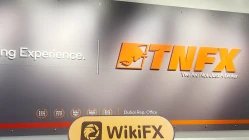 Ein Besuch bei TNFX in den VAE - Büro gefunden