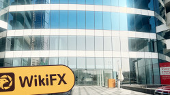 Una visita a TNFX negli Emirati Arabi Uniti - Ufficio Trovato
