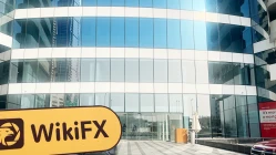 Ein Besuch bei TNFX in den VAE - Büro gefunden