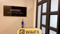 Isang Pagdalaw sa InterTrader sa Mauritius - Walang Natagpuang Opisina