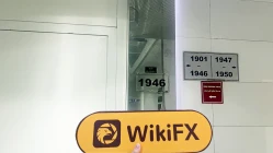 Une visite chez Orbit FX aux Émirats arabes unis - Aucun bureau trouvé