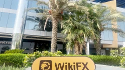 زيارة إلى FINOWIZ في الإمارات العربية المتحدة - تم العثور على المكتب