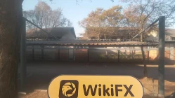 Uma Visita ao Brokstock na África do Sul - Escritório Encontrado